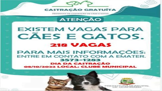 CASTRAPET